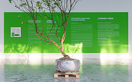 《五百棵檸檬樹：有機檔案》黃博志個展 –以情感與契約佐酒，讓檸檬樹苗釀造出一座工廠